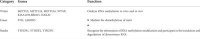 Interaction between N6-methyladenosine and autophagy in the regulation of bone and tissue degeneration